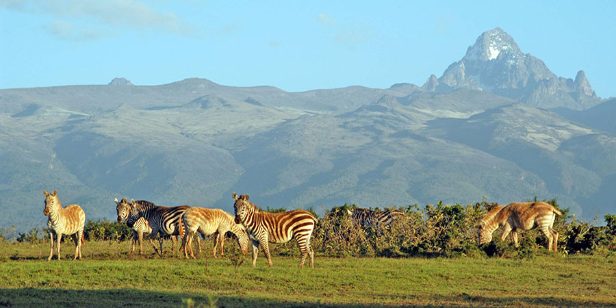 5 Days, Mt Kenya - Sweet Waters - Lake Naivasha - Masai Mara