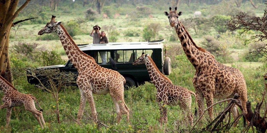 3 Days Nairobi - Masai- Mara - Group - Safari
